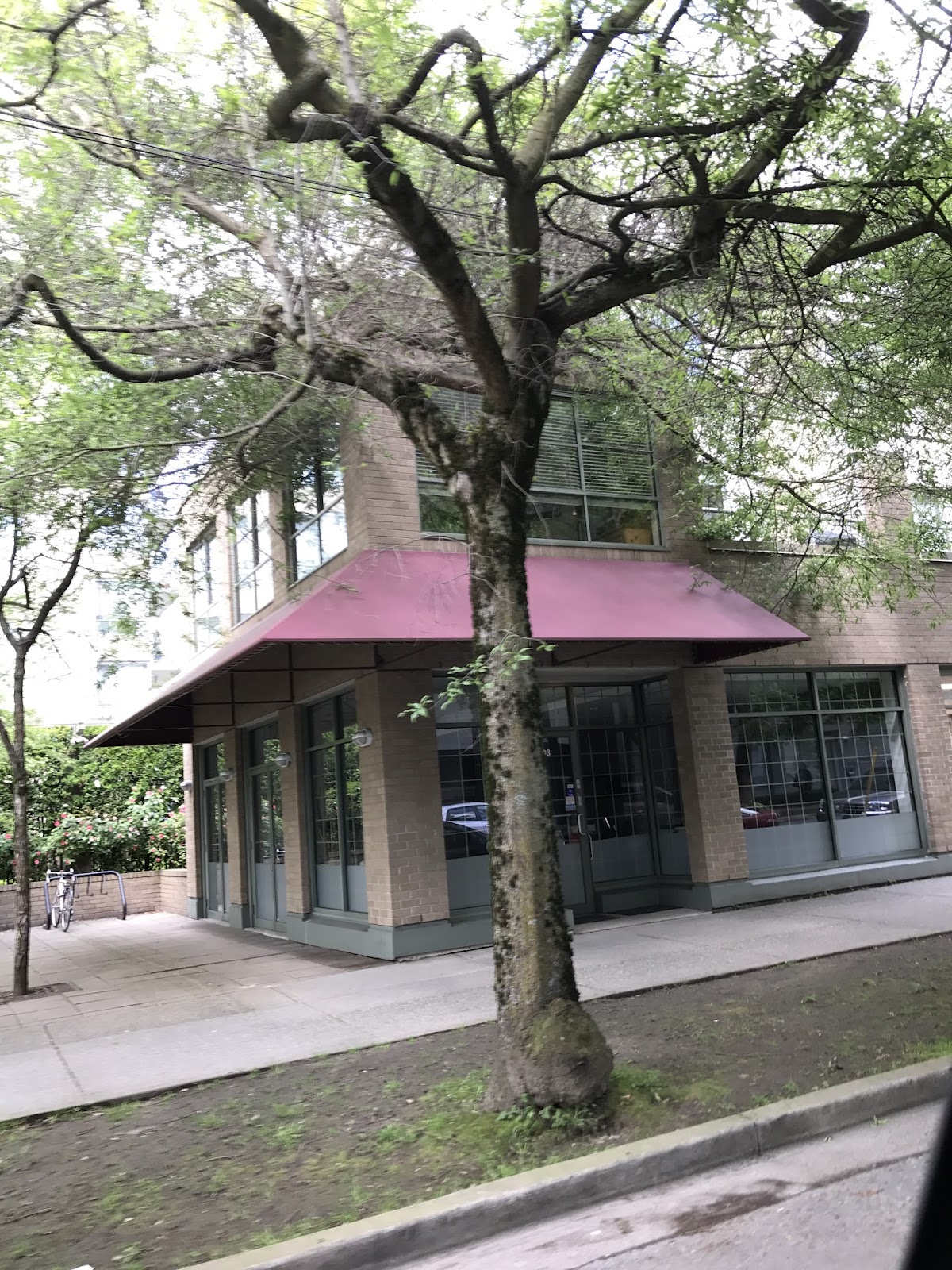 Pine Family Dental dental clinic in Vancouver - Photo 1