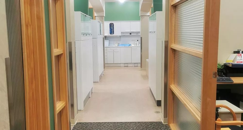 The Meadows Dental Clinic dental clinic in Edmonton - Photo 5