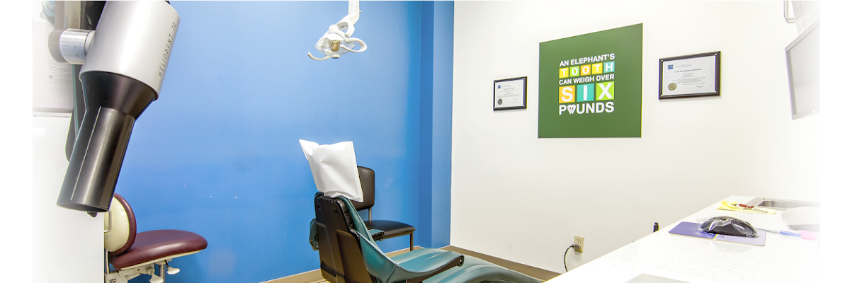 Hermitage Dental dental clinic in Edmonton - Photo 7