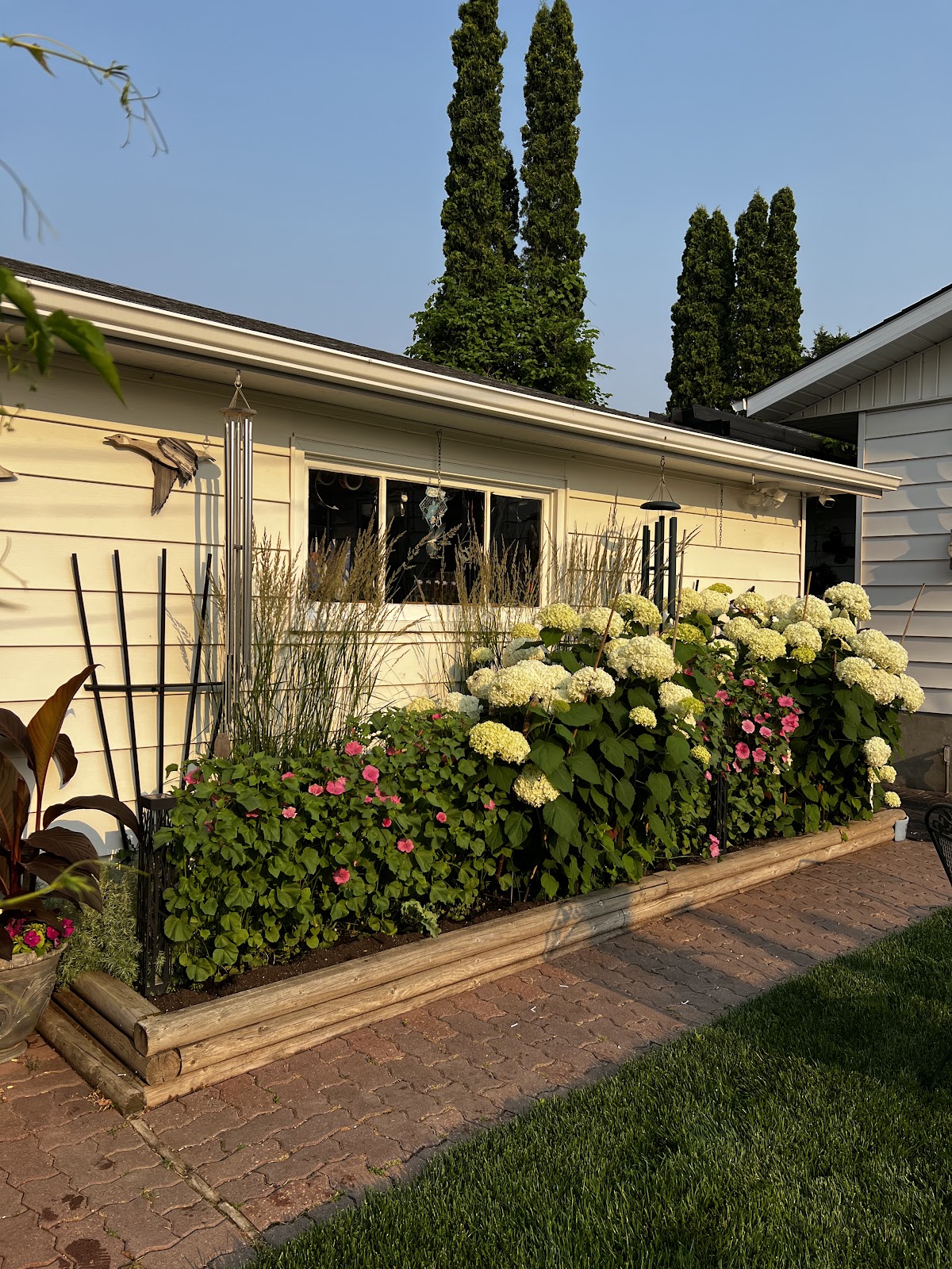 Ellwood Dental dental clinic in Edmonton - Photo 6