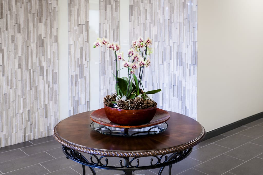 Ainslie Street Dental dental clinic in Cambridge - Photo 5