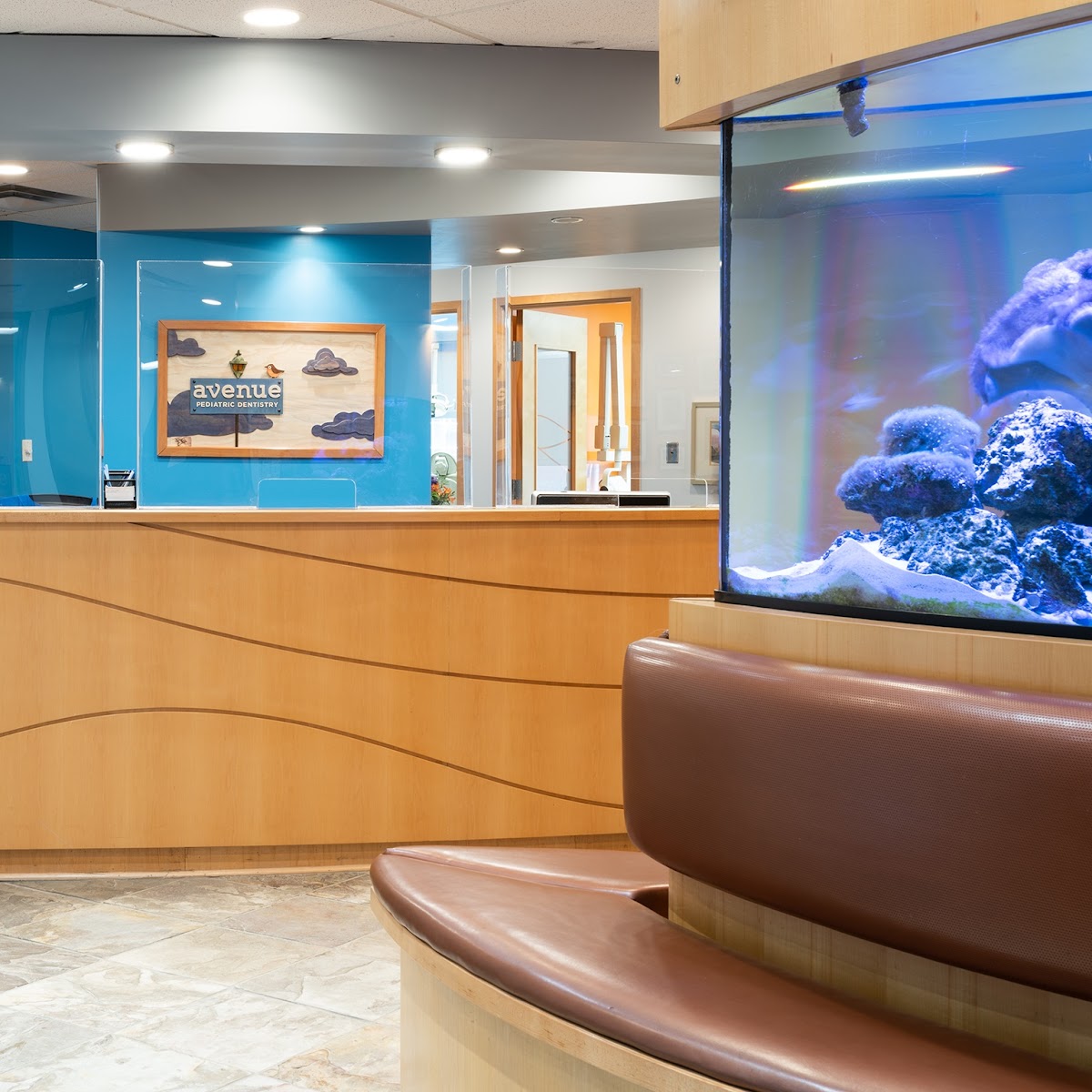 Avenue Pediatric Dentistry dental clinic in Edmonton - Photo 2