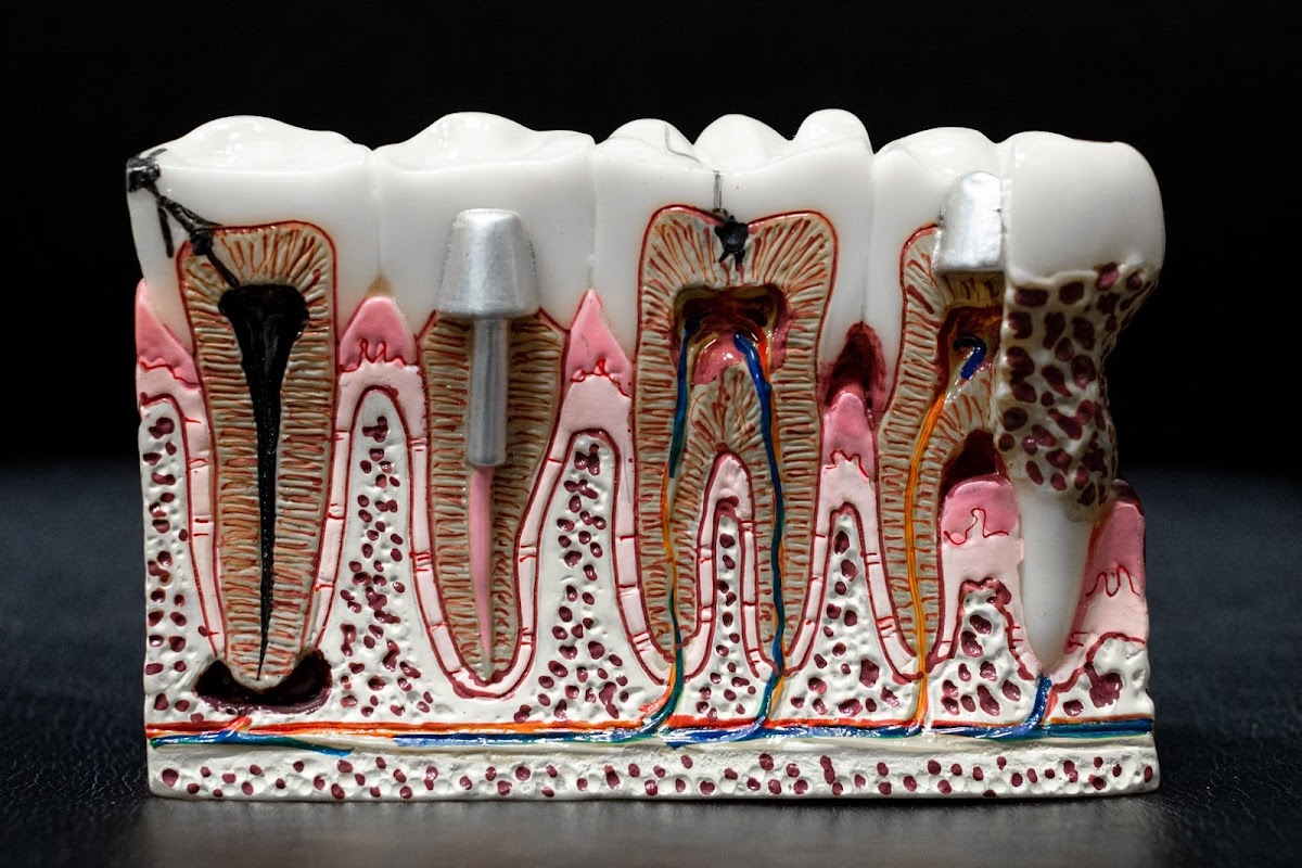 West Airdrie Dental dental clinic in Airdrie - Photo 7