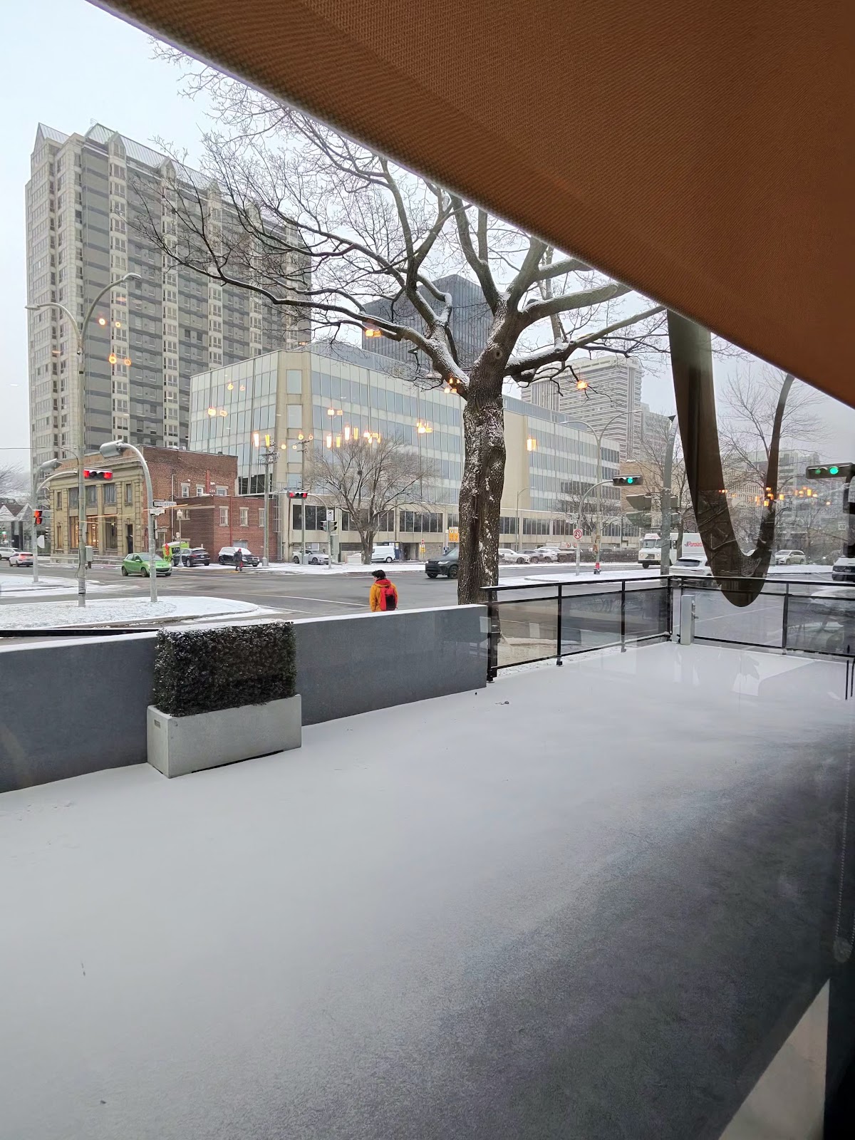 TGO Orthodontics dental clinic in Westmount - Photo 8