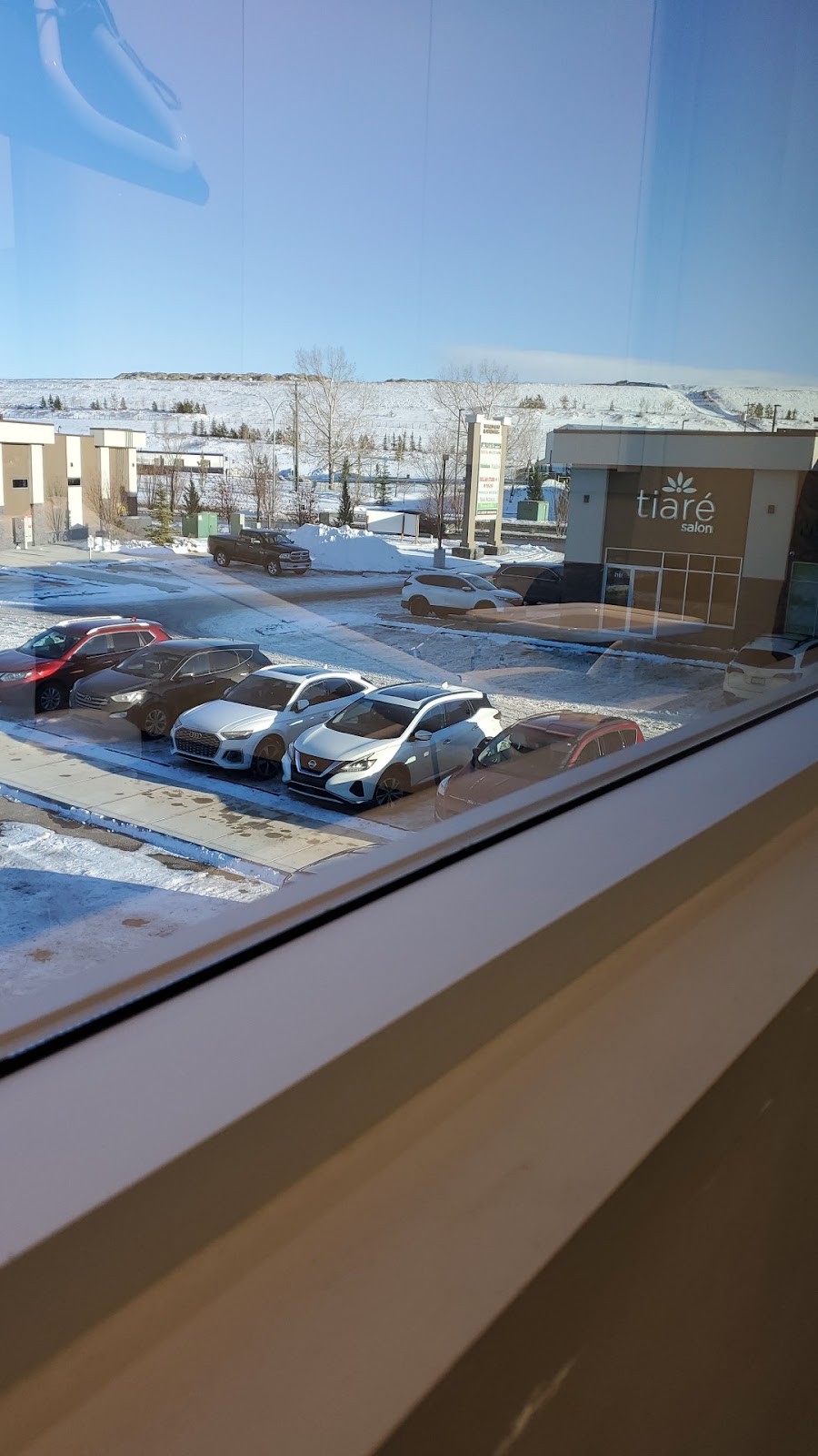 Dr. Niklas Neilson - DWG Ortho dental clinic in Calgary - Photo 1