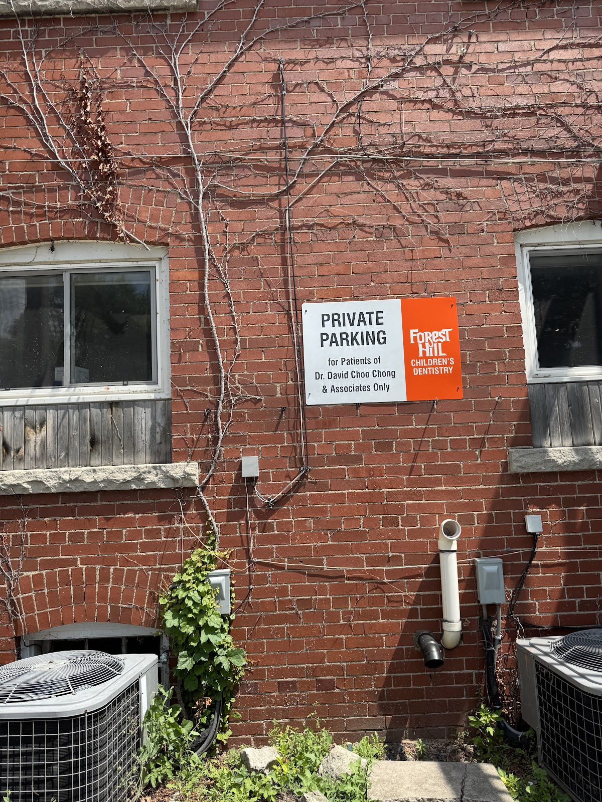 Forest Hill Children's Dentistry dental clinic in York - Photo 2