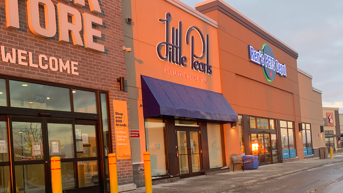 Little Pearls Pediatric Dentistry dental clinic in North York - Photo 1