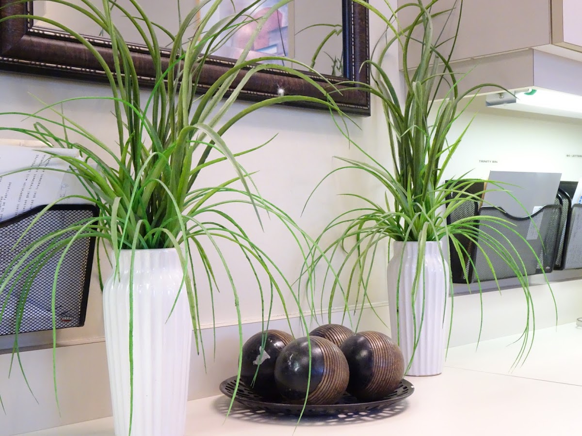Smile Solutions Orthodontists dental clinic in Brampton - Photo 10