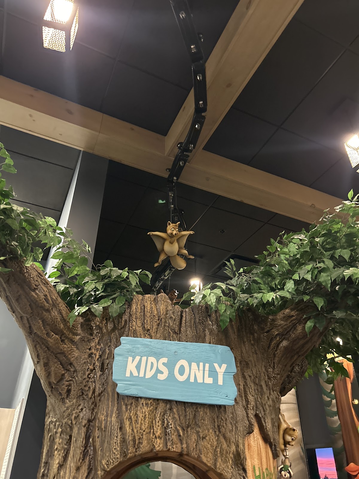 Happy Trails Children's Dentistry dental clinic in Calgary - Photo 10