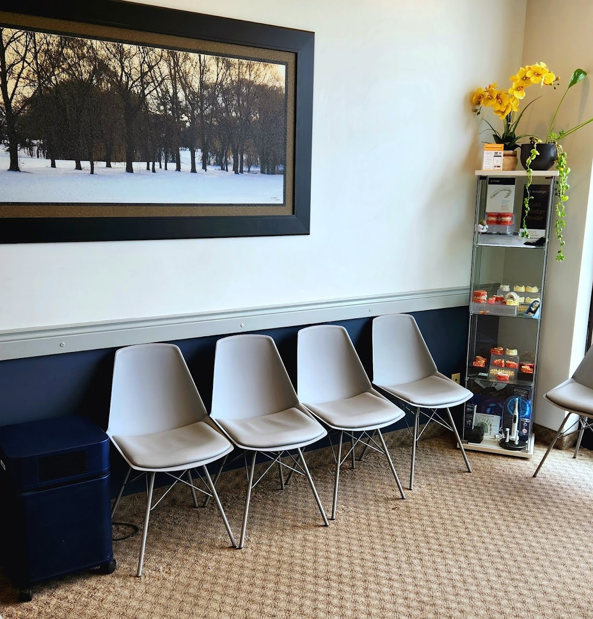 Willow West Dental dental clinic in Guelph - Photo 9