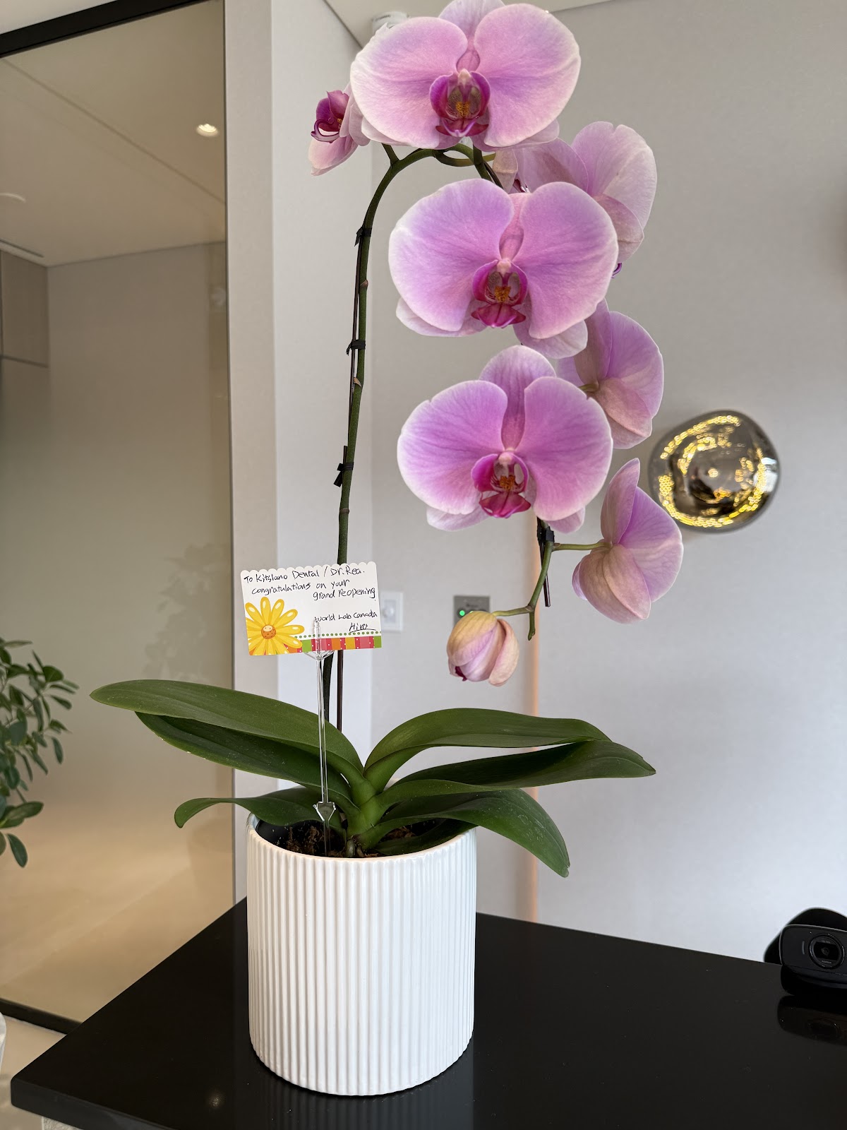 Kitsilano Dental Group dental clinic in Vancouver - Photo 9