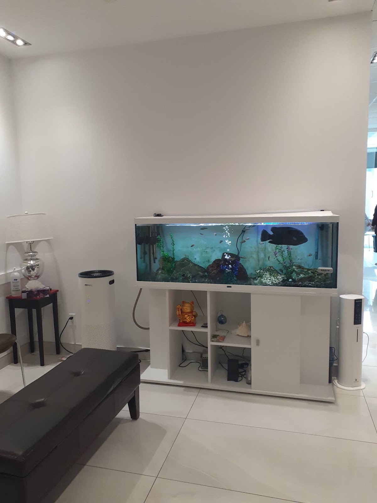 Wynford Dental dental clinic in Toronto - Photo 9