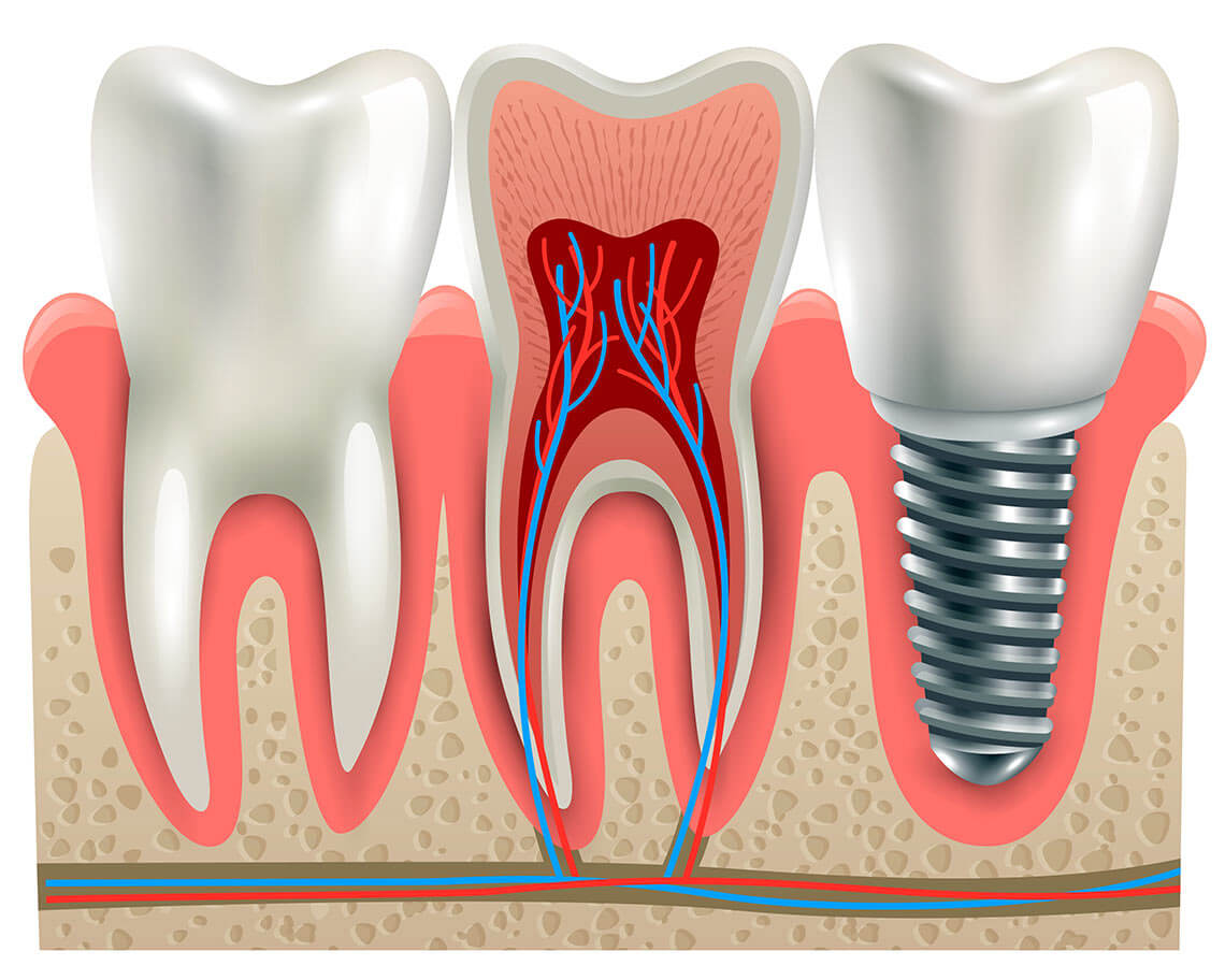 Dentistry on Wilson dental clinic in North York - Photo 6