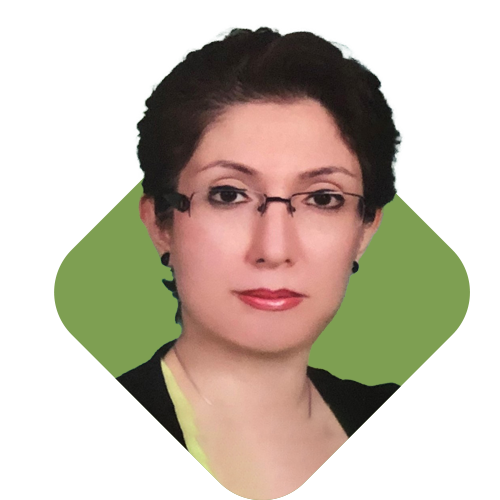 Dr. Gita Amiri